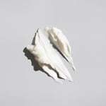 Signature Moisture Masque