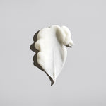 Signature Conditioner